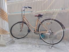 imported cycle