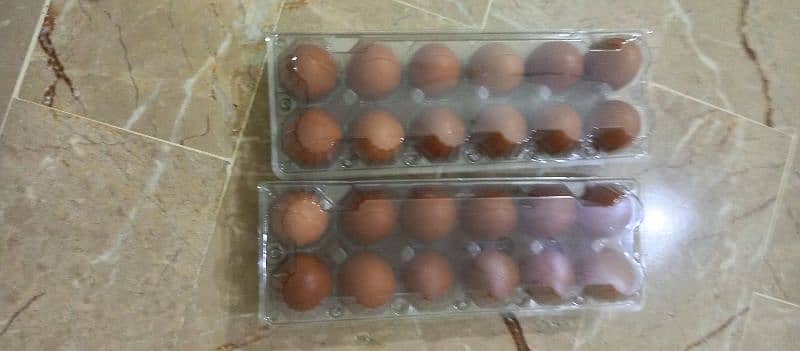 DESI EGGS 1