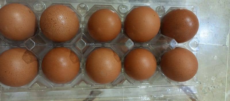 DESI EGGS 2