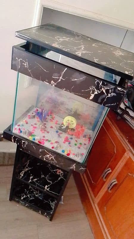 Brand New Aquarium 0