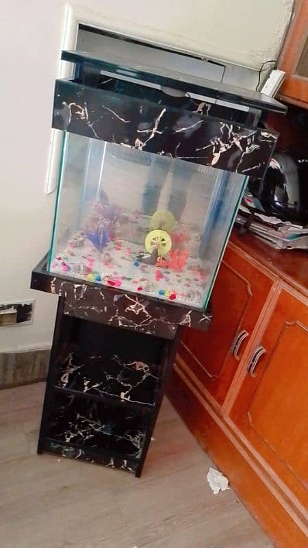 Brand New Aquarium 2