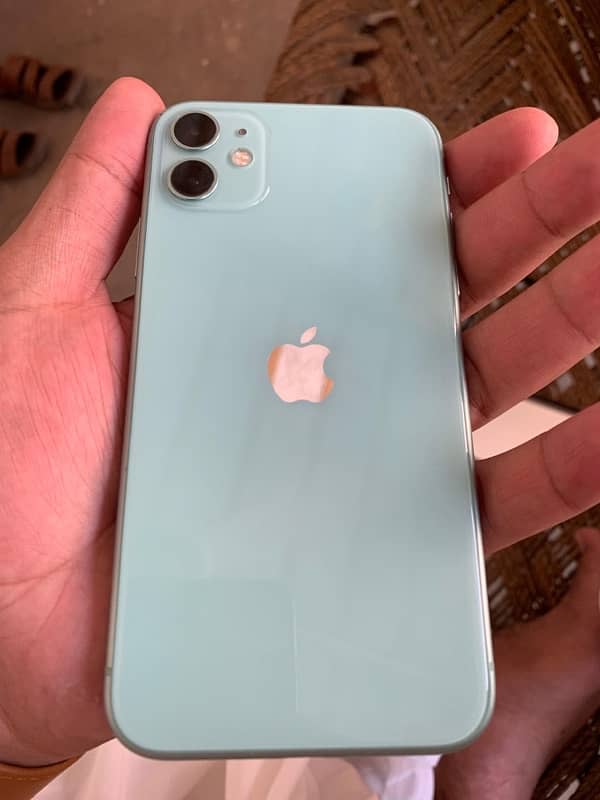 iPhone 11 (256 gb) 0