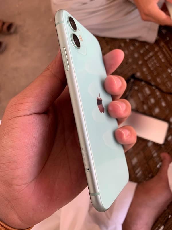 iPhone 11 (256 gb) 2