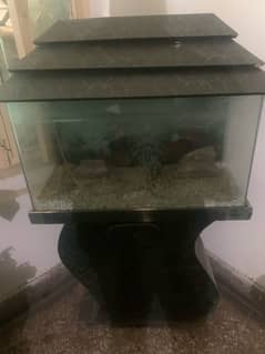 Fish Aquarium for home