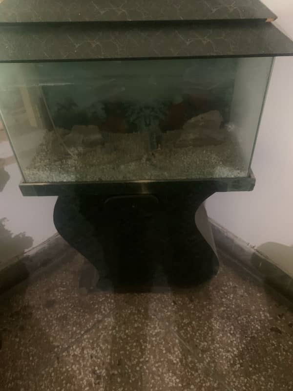 Fish Aquarium for home 2