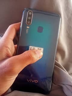 Vivo