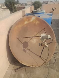 dish