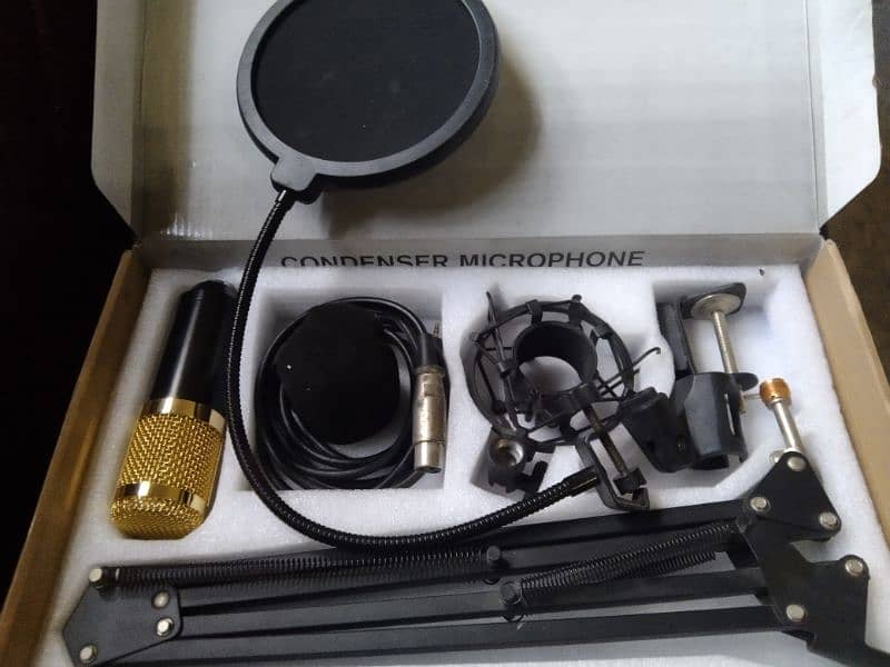 BM800 Mic , Lush Condition 1