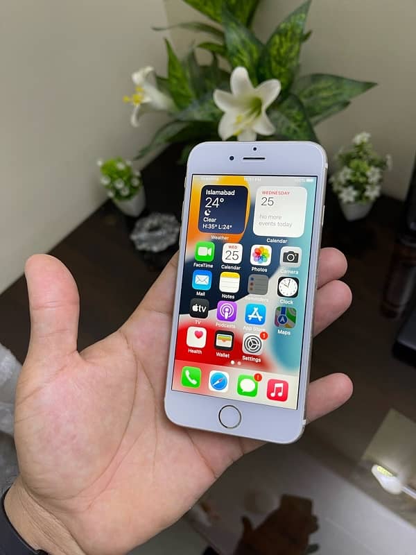 iphone 6s 32gb pta approve 2