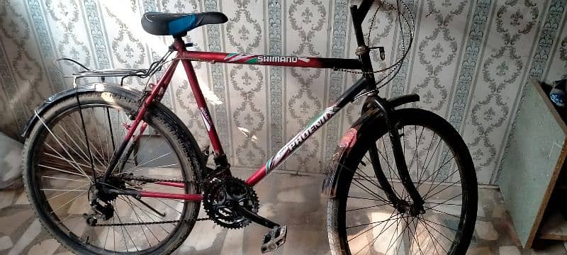 fornix bicycle 10/9 condition 3+3 gayers 3