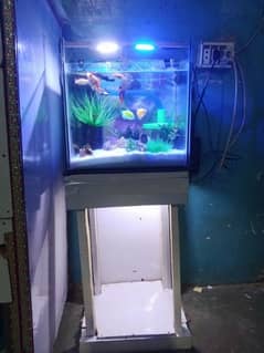 aquarium