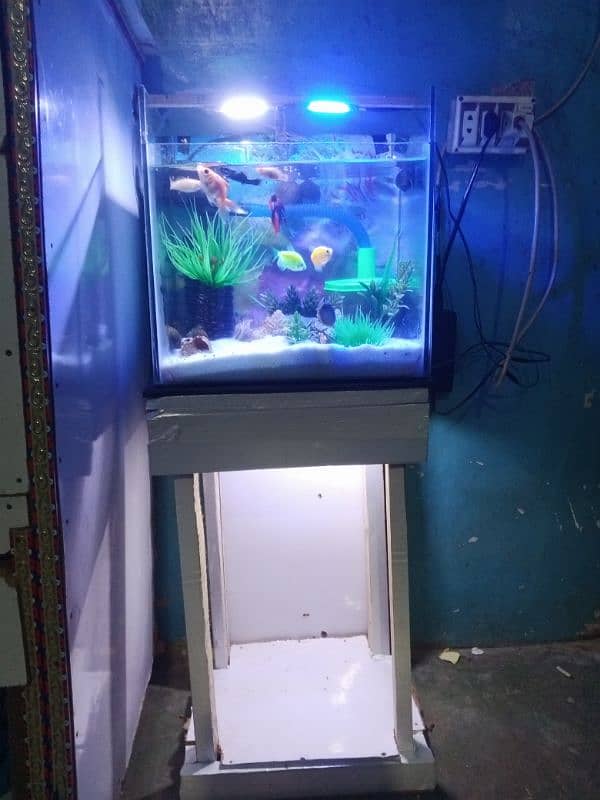 aquarium 0