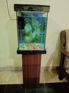 Fish Aquarium in Excellent Condition (Without Fishes)