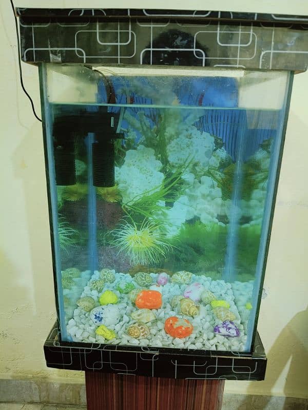 Fish Aquarium in Excellent Condition (Without Fishes) 1