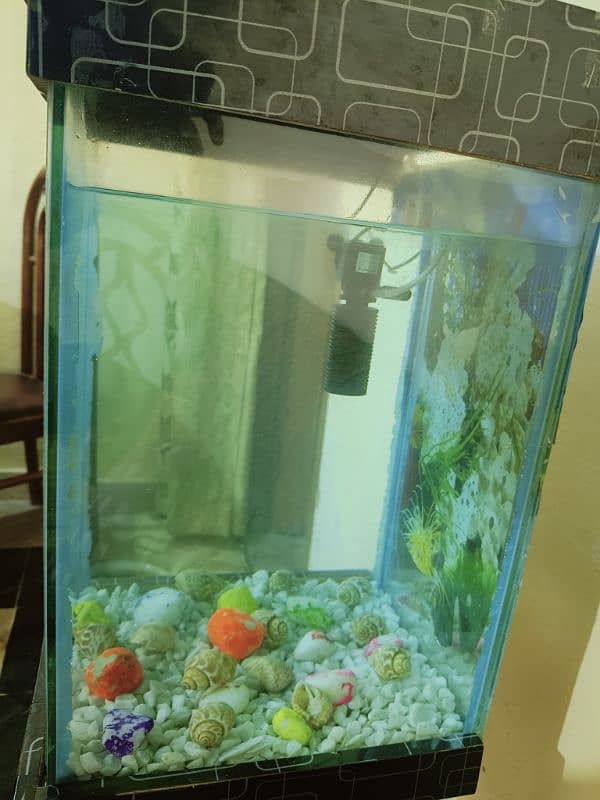 Fish Aquarium in Excellent Condition (Without Fishes) 2