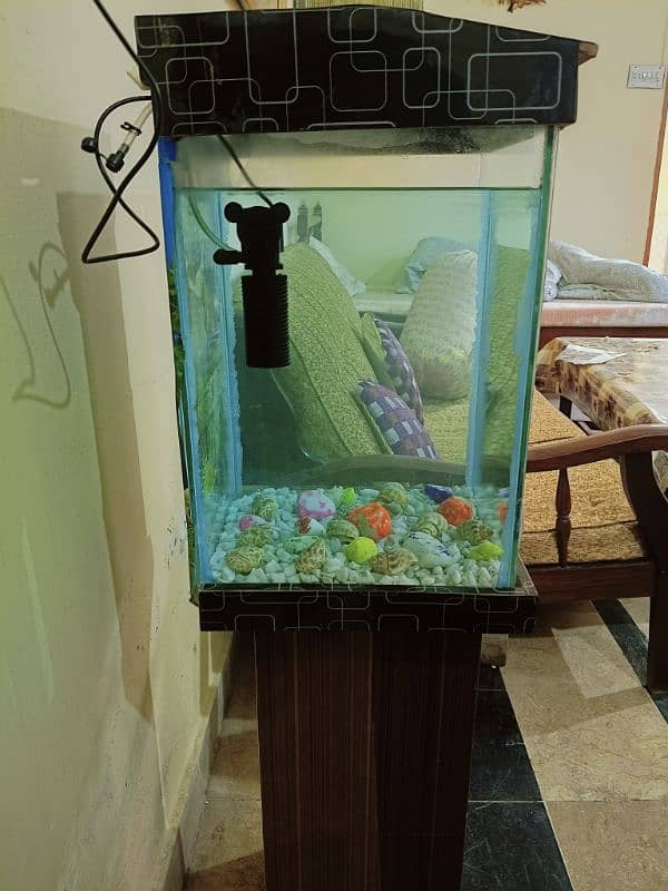 Fish Aquarium in Excellent Condition (Without Fishes) 3