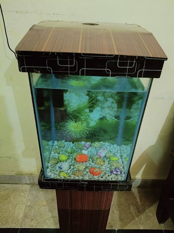 Fish Aquarium in Excellent Condition (Without Fishes) 5