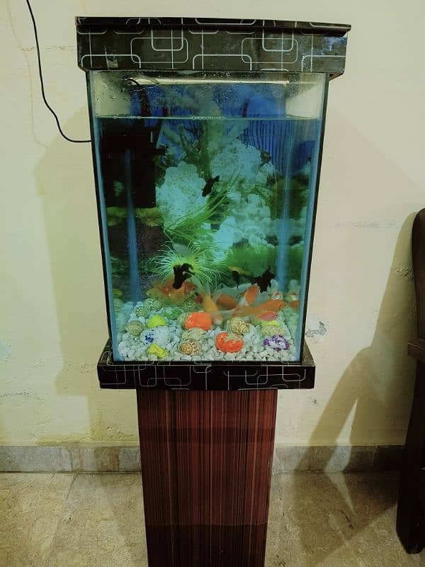 Fish Aquarium in Excellent Condition (Without Fishes) 9