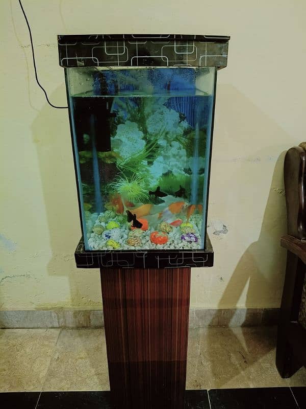 Fish Aquarium in Excellent Condition (Without Fishes) 10