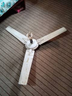 sobe ceiling fan