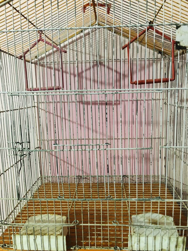 Cage Pinjra For Cocktail Lovebird Australian Finche Green Ringneck Raw 3