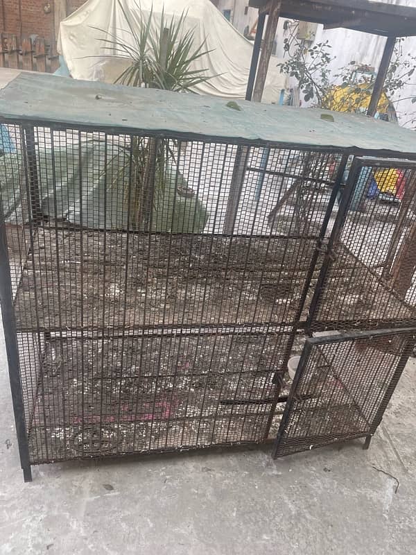 pigeons cage for sale 2