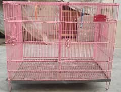 Ring neck cage for sell