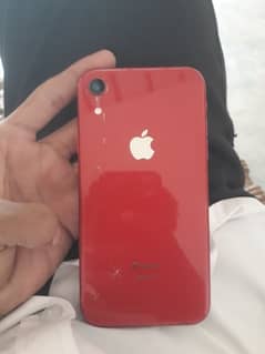 iPhone xr nonpta