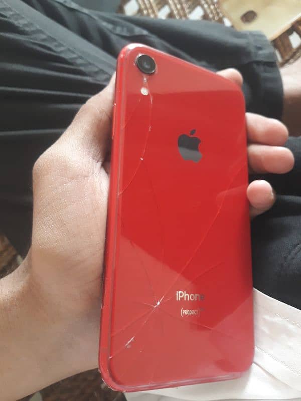 iPhone xr nonpta 2