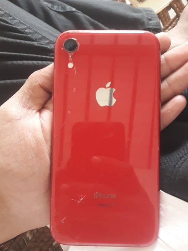 iPhone xr nonpta 3