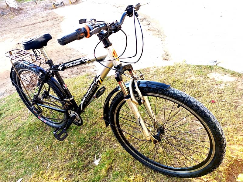 New Phoenix bicycle 4