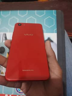 VIVO