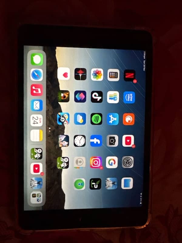 ipad mini 5 256gb urgent sell pug beast device 3