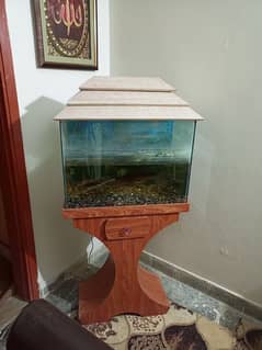 fish aquarium available