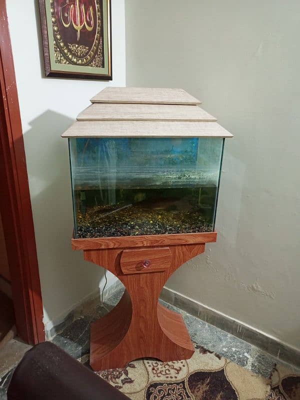 fish aquarium available 0