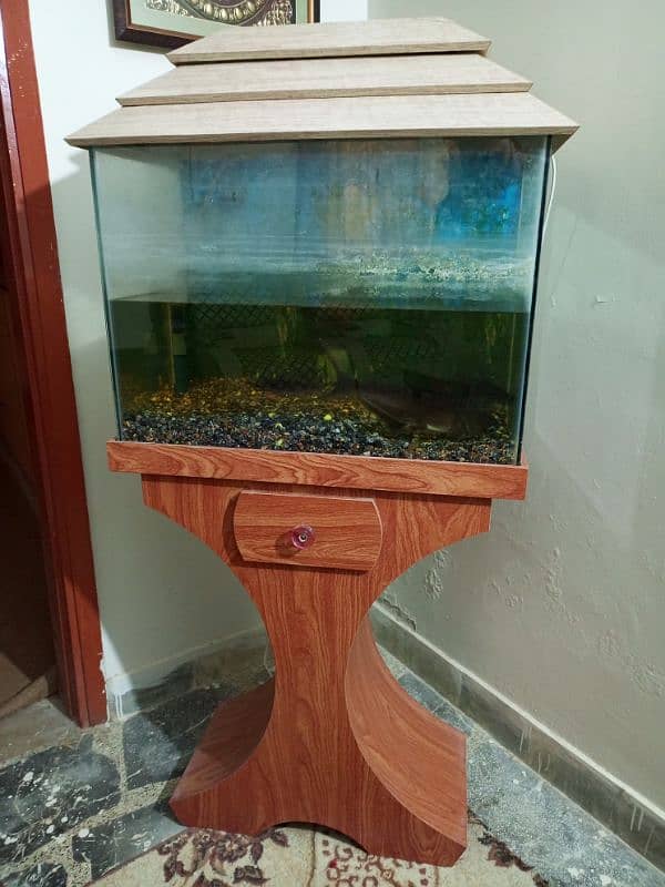 fish aquarium available 1