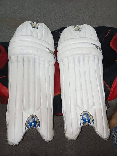 Cricket Kit for Sale 16