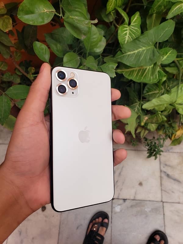 Iphone 11 Pro Max Nonpta lush condition 1