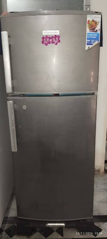 Electrolux Refrigerator 03145223636 1