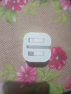 iPhone original charger