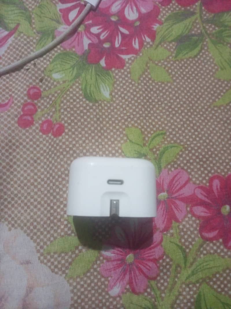 iPhone original charger 1