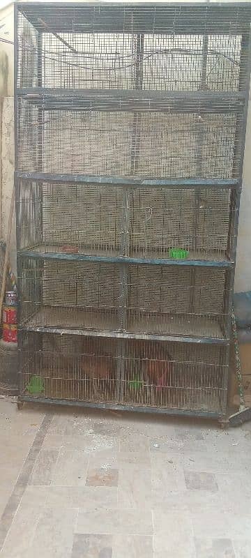 10 portion full iron cage 1