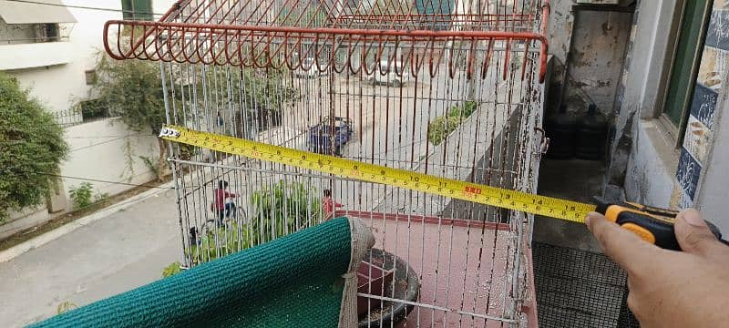 2 bird cage 7