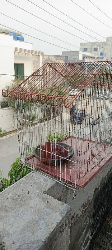 2 bird cage 9