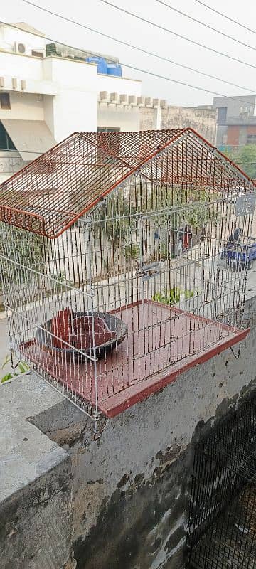 2 bird cage 10