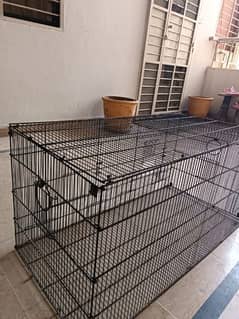 parrot love birds cages for sale