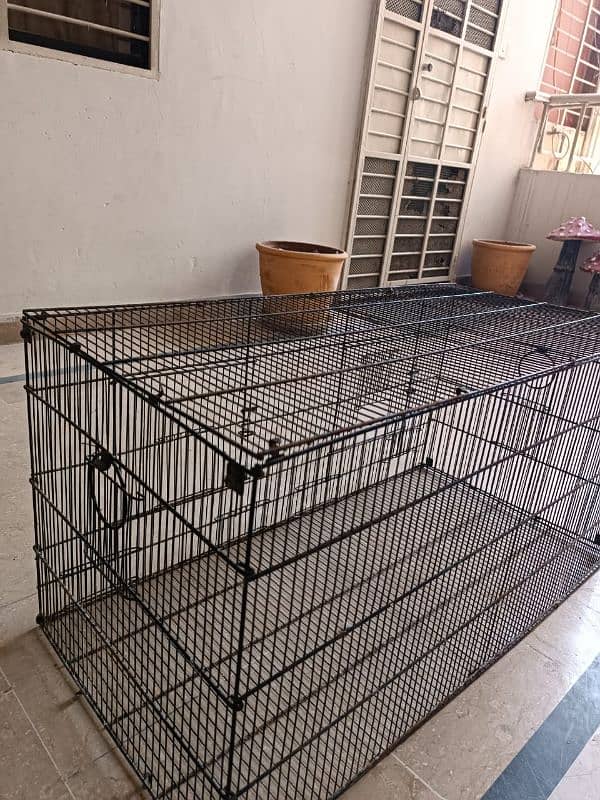 parrot love birds cages for sale 0