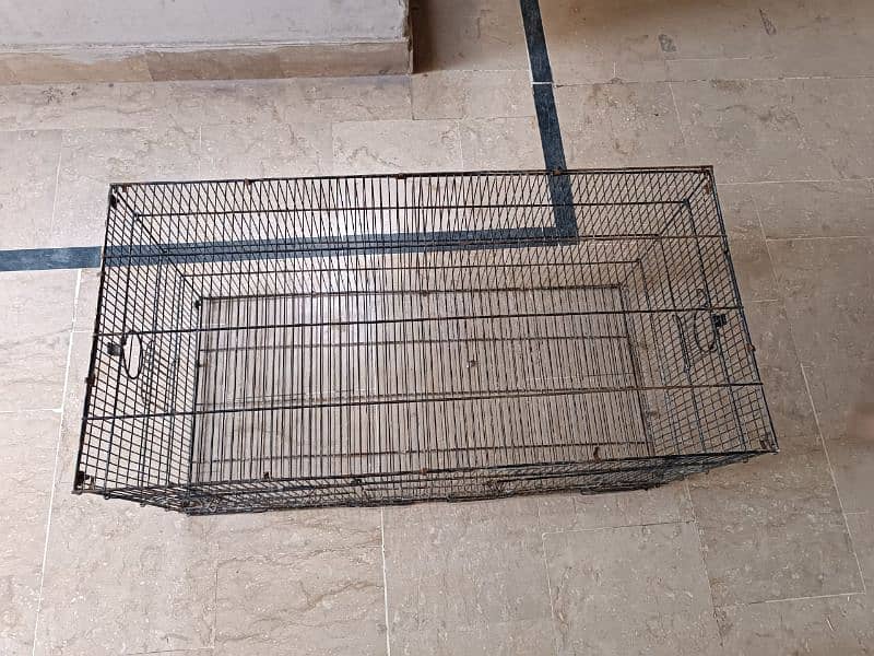 parrot love birds cages for sale 1