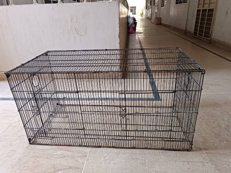 parrot love birds cages for sale 2