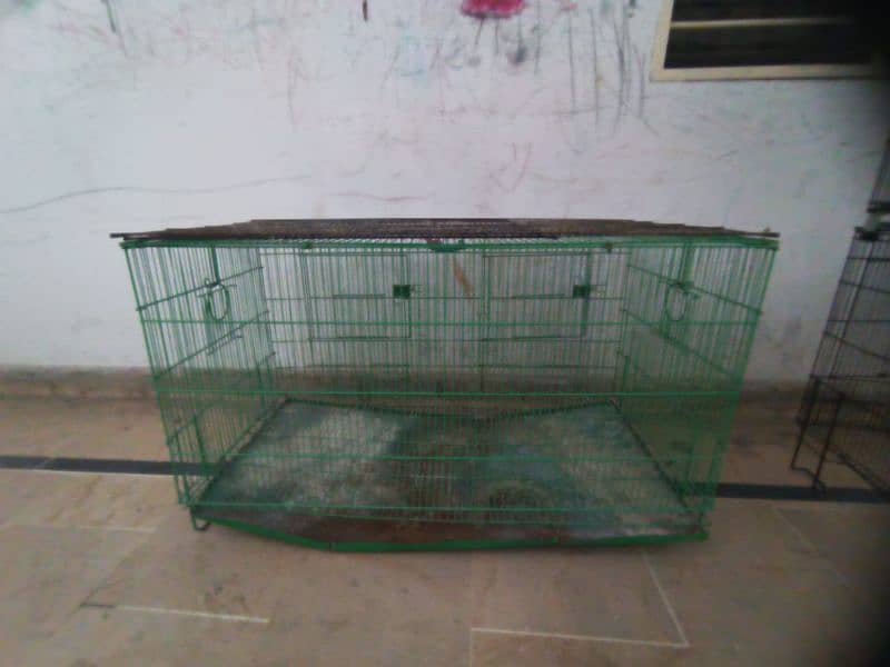 parrot love birds cages for sale 3